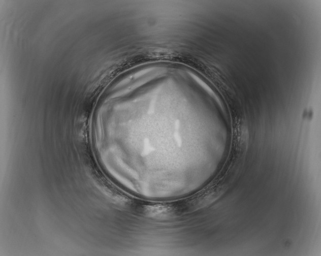 X0000114200511200910231346