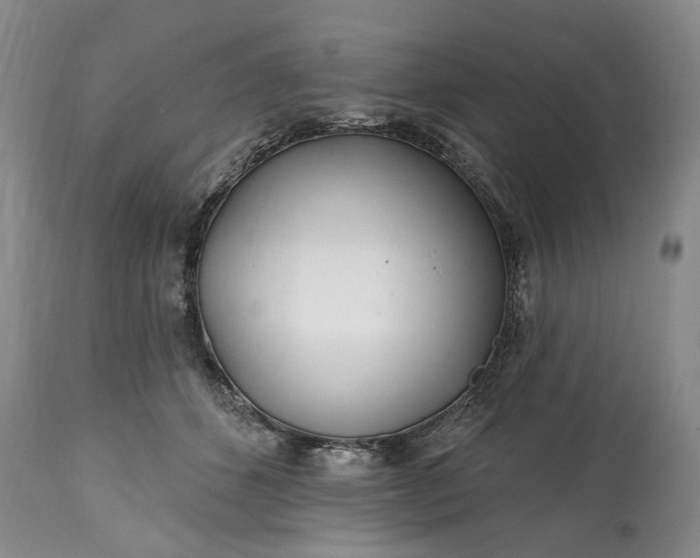 X0000114200512200910231346