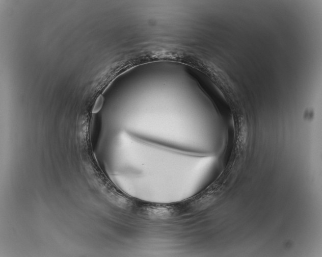 X0000114200513200910231346