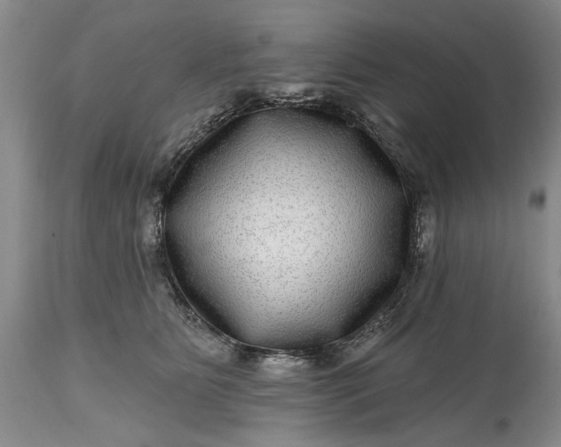 X0000114200515200910231346