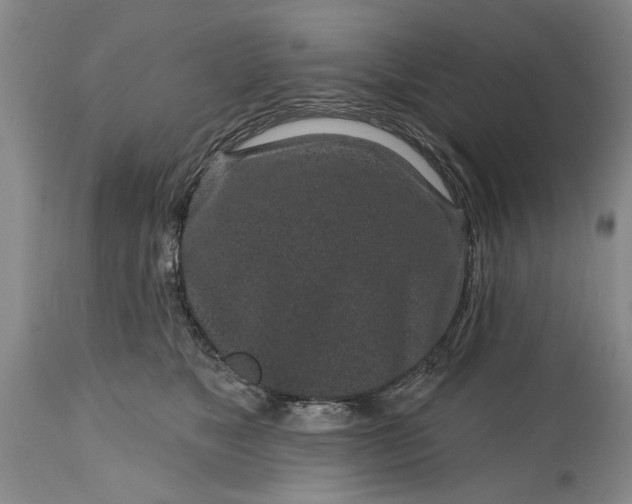 X0000114200517200910231346