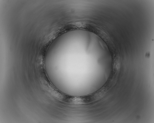 X0000114200518200910231346