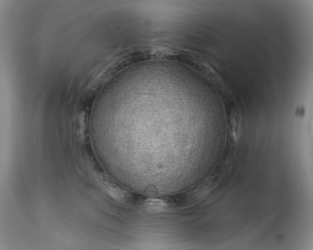 X0000114200519200910231346