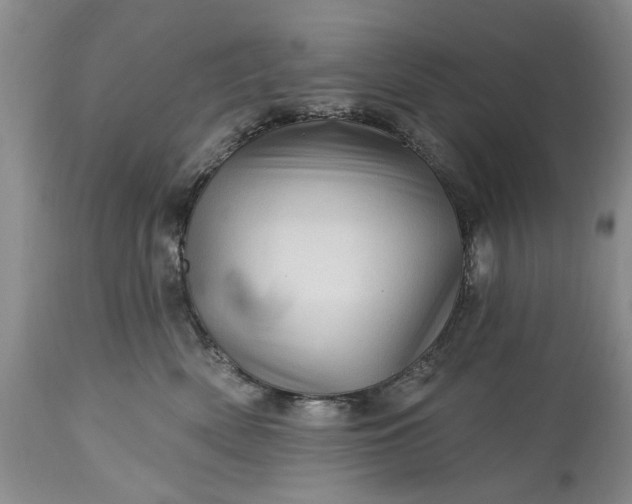 X0000114200522200910231346