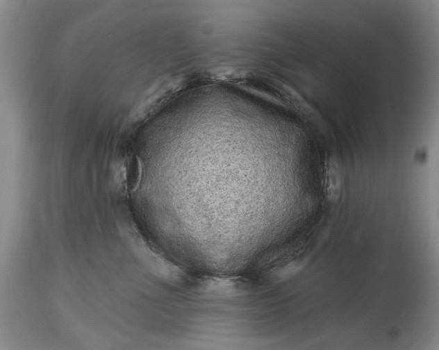 X0000114200523200910231346