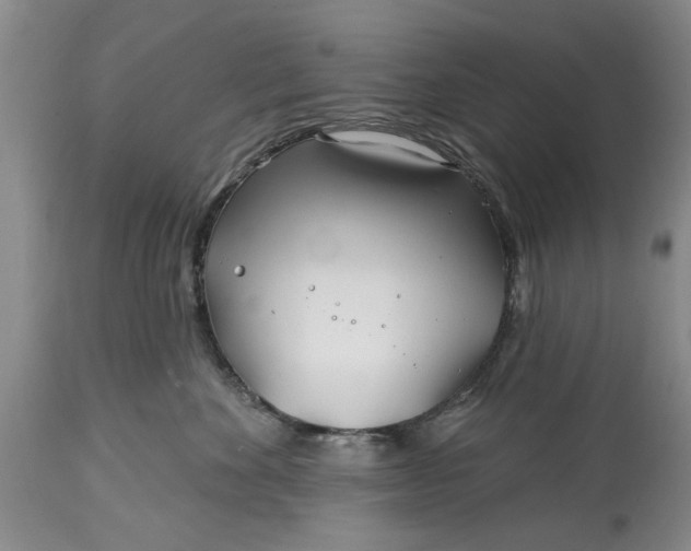 X0000114200524200910231346