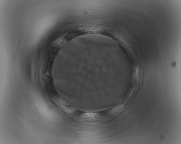 X0000114200526200910231346