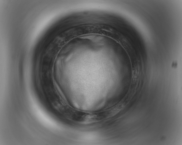 X0000114200527200910231346