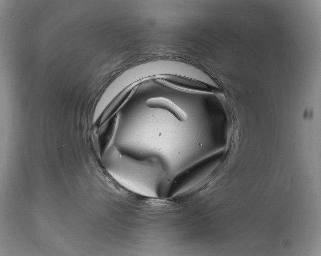 X0000114200528200910231346