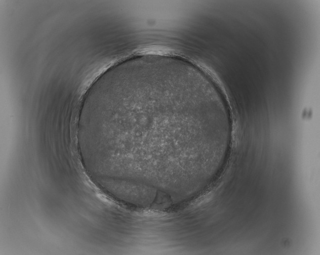 X0000114200529200910231345