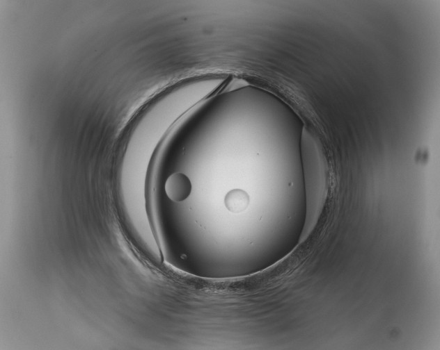 X0000114200534200910231345