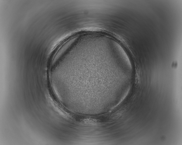 X0000114200535200910231345