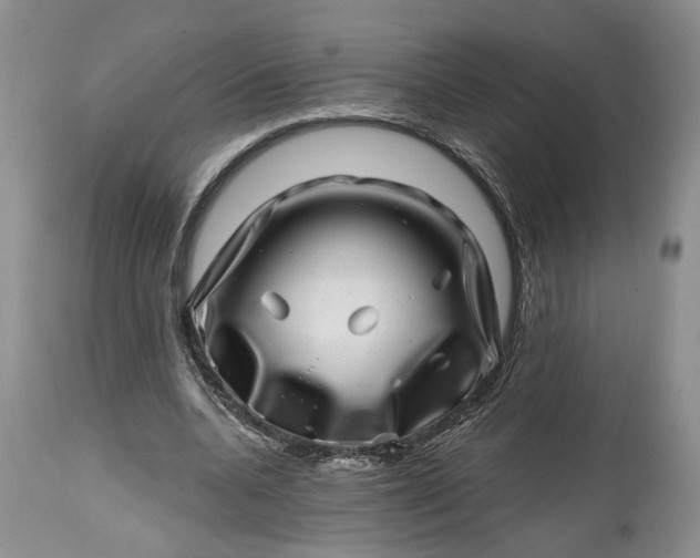 X0000114200536200910231345