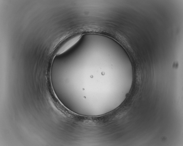 X0000114200538200910231346