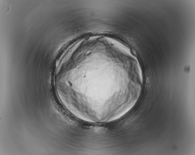 X0000114200539200910231346