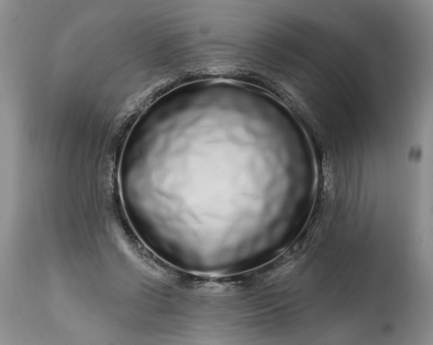 X0000114200542200910231346