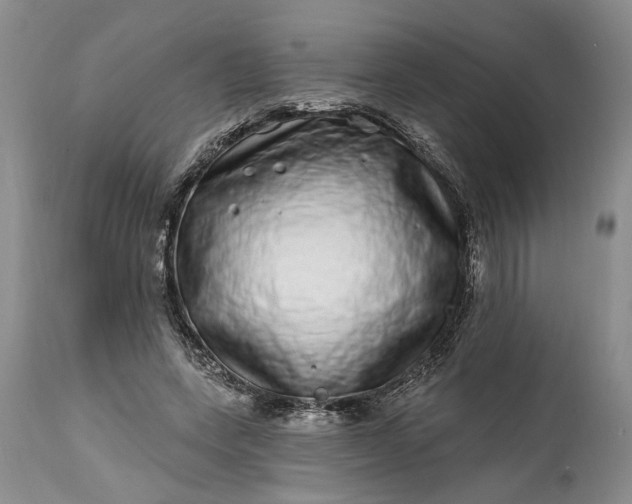 X0000114200543200910231346