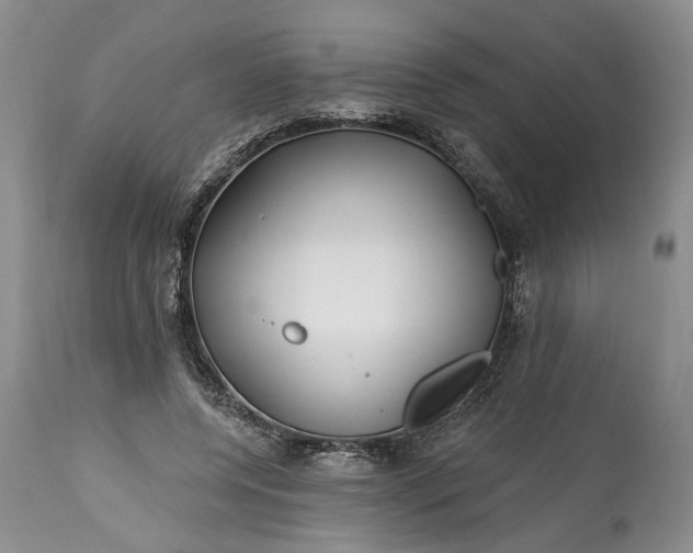 X0000114200544200910231346