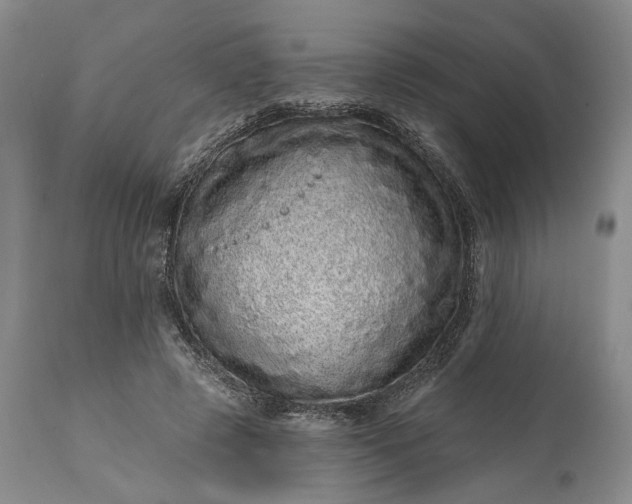 X0000114200545200910231346