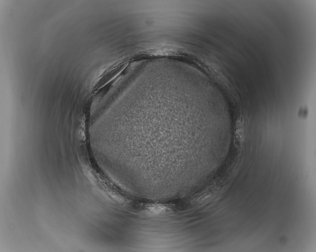 X0000114200547200910231346