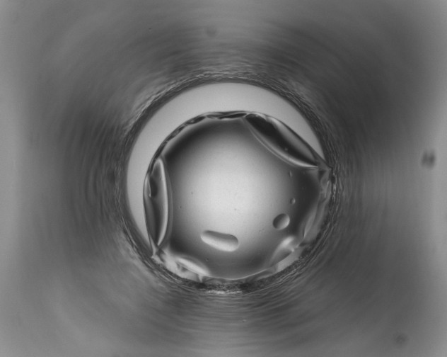 X0000114200548200910231346