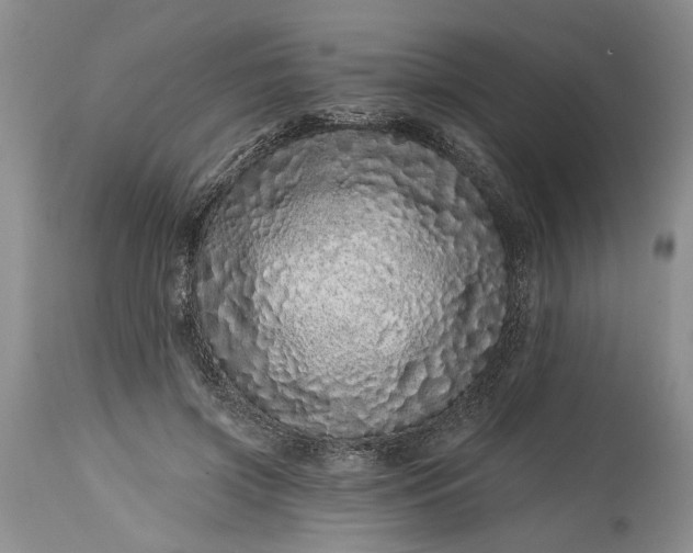 X0000114200549200910231346