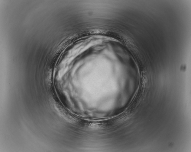 X0000114200550200910231346