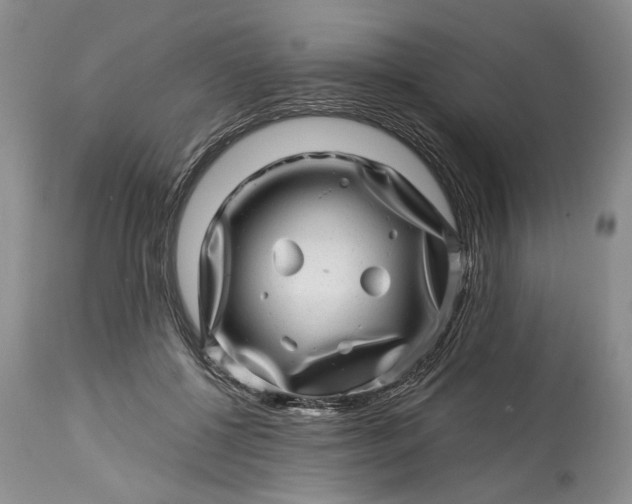 X0000114200552200910231346