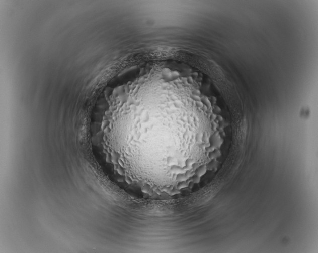 X0000114200553200910231346