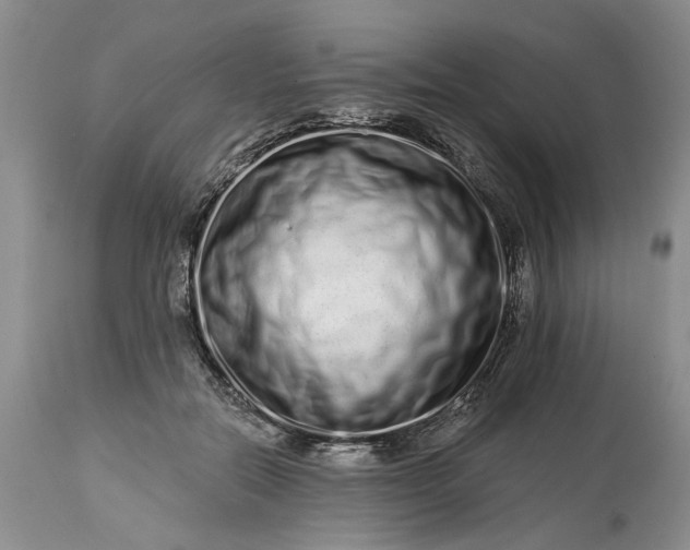 X0000114200554200910231346