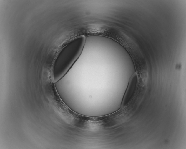 X0000114200556200910231346