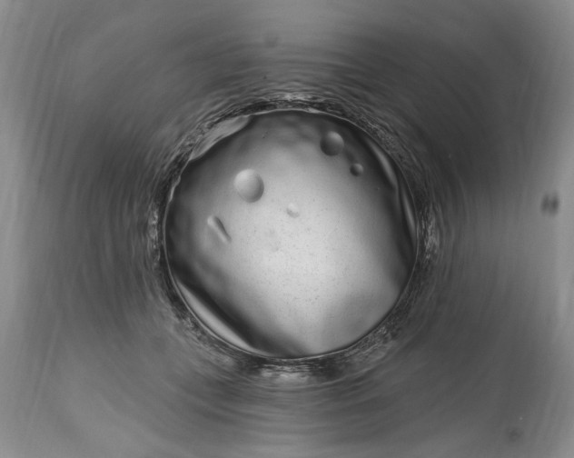 X0000114200559200910231346