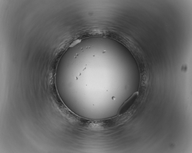 X0000114200560200910231346