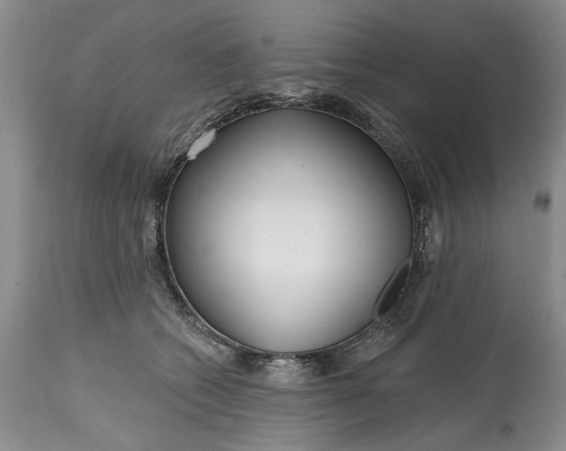 X0000114200562200910231346