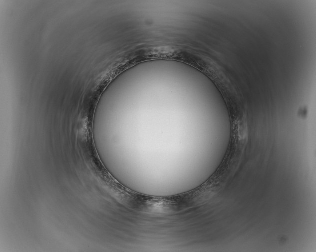 X0000114200564200910231346