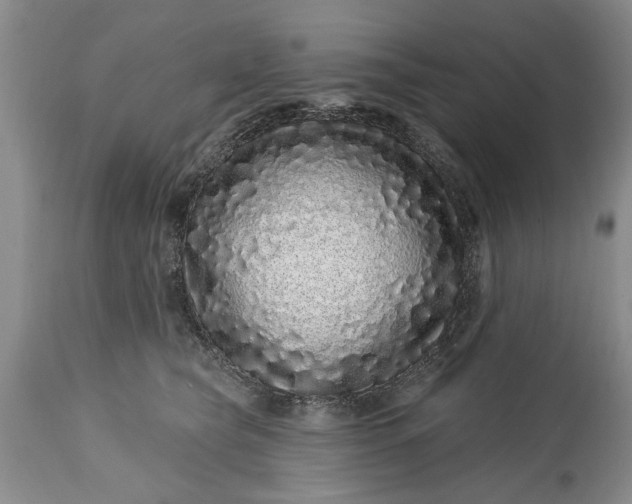 X0000114200565200910231346