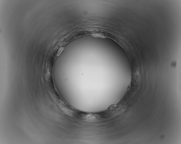 X0000114200566200910231346