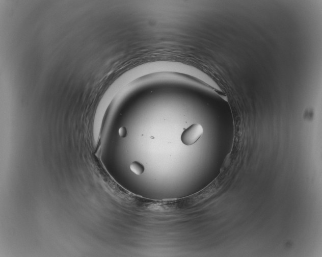 X0000114200568200910231346