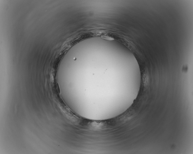 X0000114200570200910231346