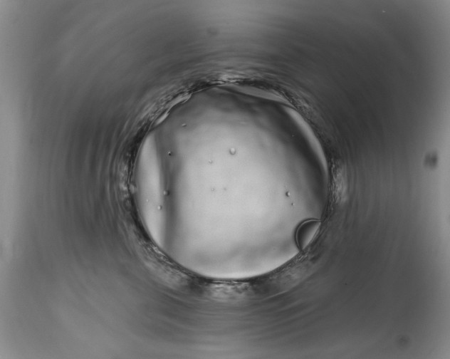 X0000114200571200910231346