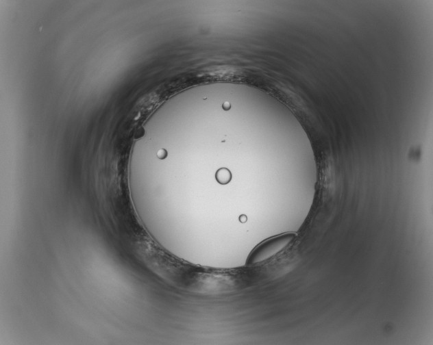 X0000114200572200910231346