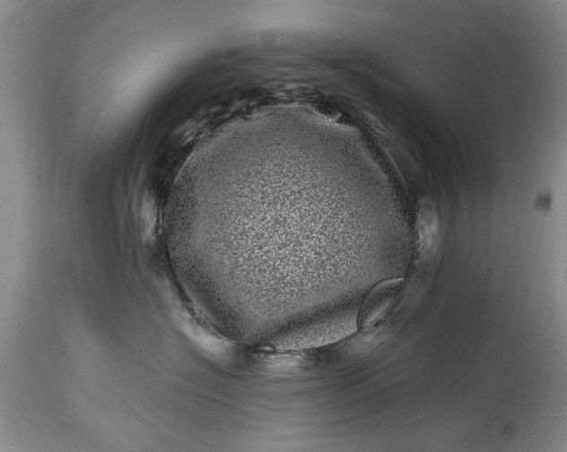 X0000114200574200910231346