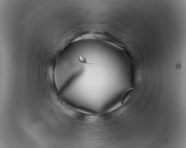 X0000114200575200910231346