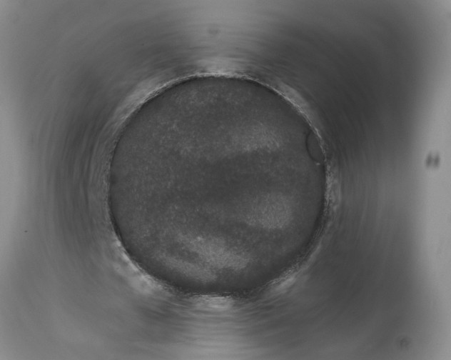 X0000114200577200910231345