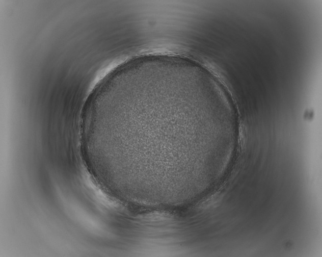 X0000114200578200910231345