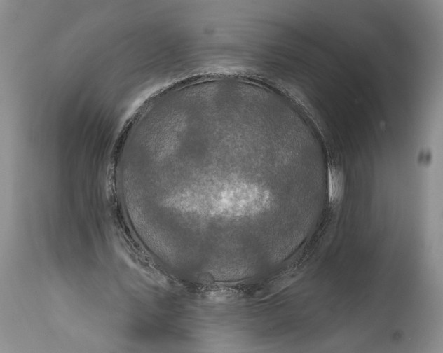 X0000114200579200910231345