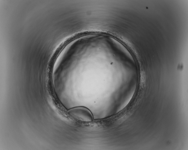 X0000114200580200910231345