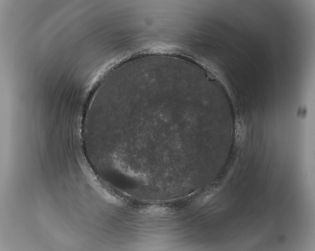 X0000114200581200910231345