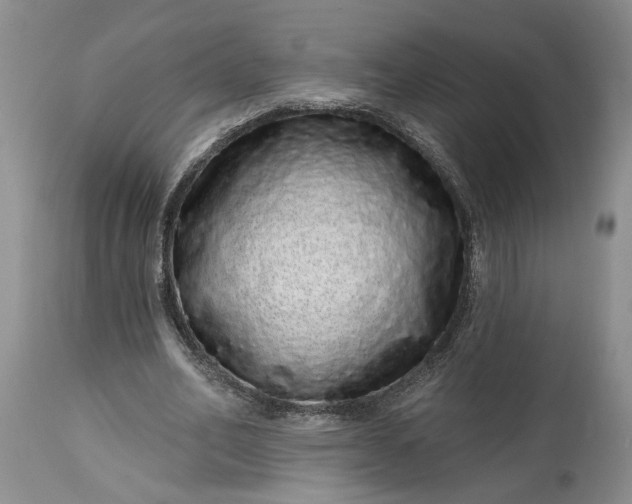 X0000114200582200910231345