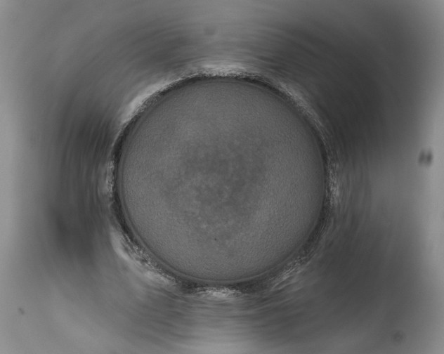 X0000114200583200910231345